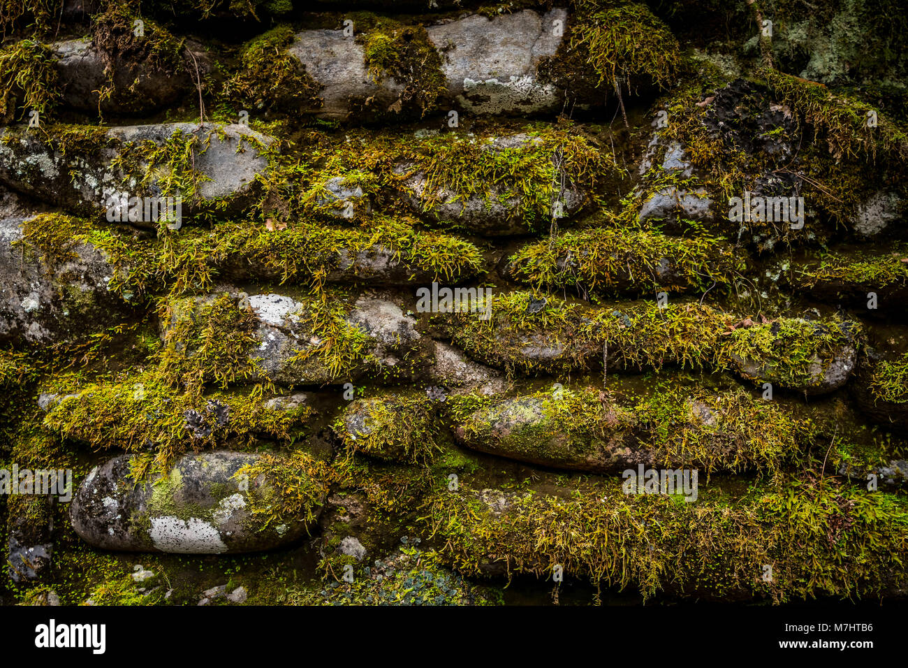 Moss couvre un mur de pierre empilées image en arrière-plan Banque D'Images