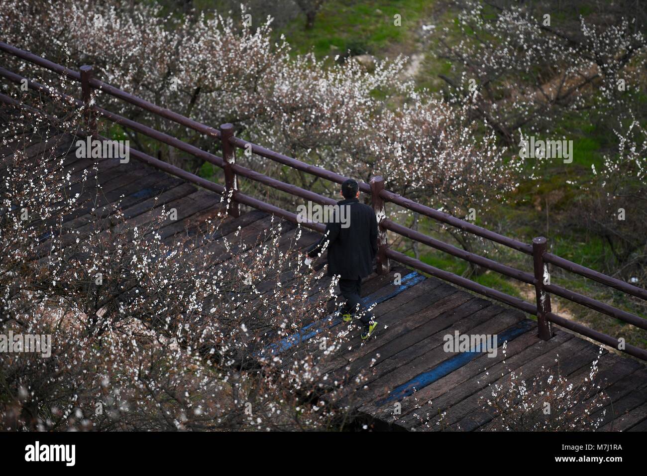 Hangzhou, Chine, Province de Zhejiang. Mar 10, 2018. Les touristes visitent le plum garden à Miaoxi Yingzhou Ville de Wuxing District de Hangzhou, Zhejiang Province de Chine orientale, le 10 mars 2018. La ville a construit un 4,2 kilomètres de sentiers touristiques et de 12 pavillons pour les touristes de profiter du paysage. Credit : Huang Zongzhi/Xinhua/Alamy Live News Banque D'Images