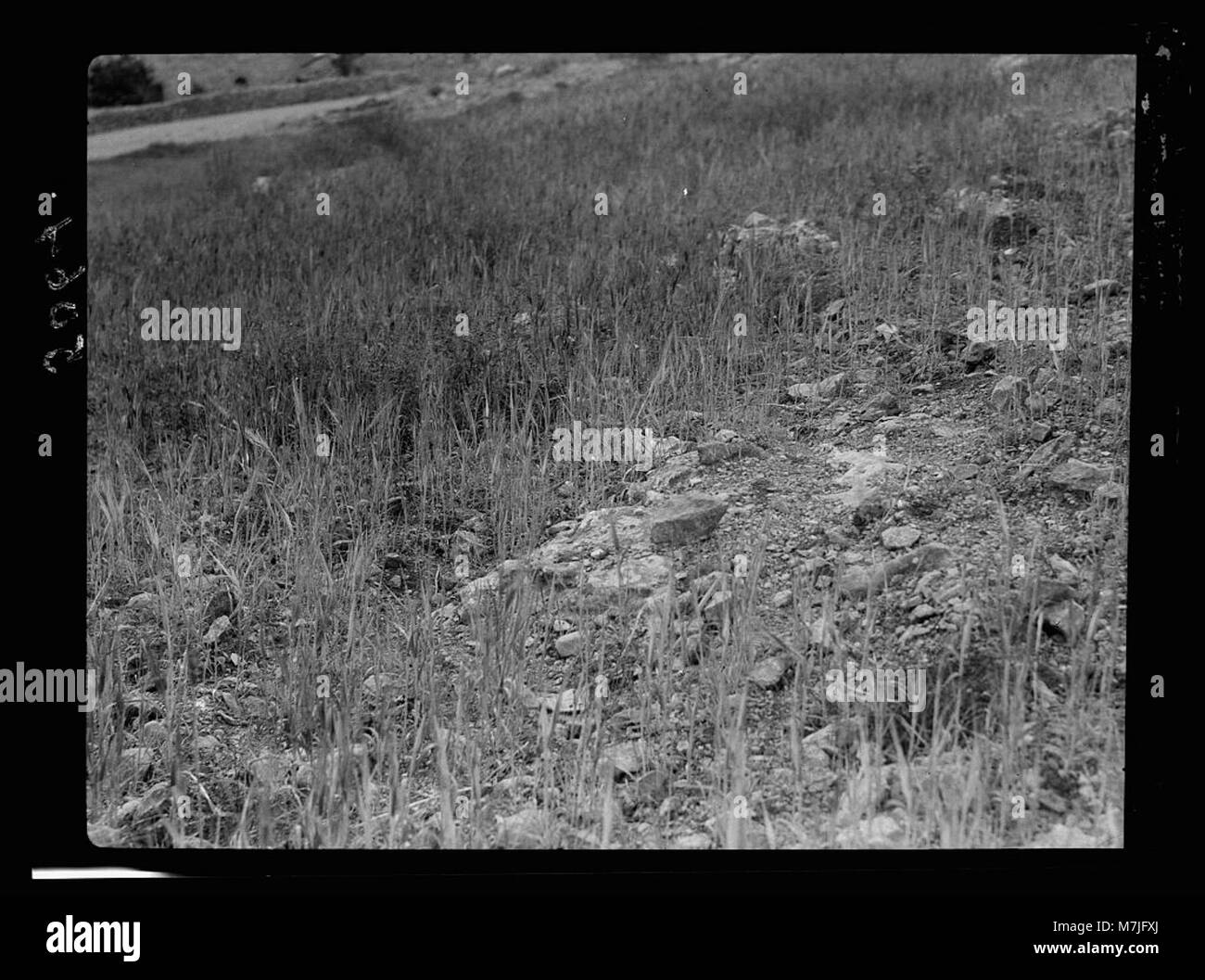 Une illustration inspirée de la parabole biblique du semeur, montrant des graines tombant sur un sol rocheux. L'image transmet le message de la parabole sous forme visuelle. Banque D'Images