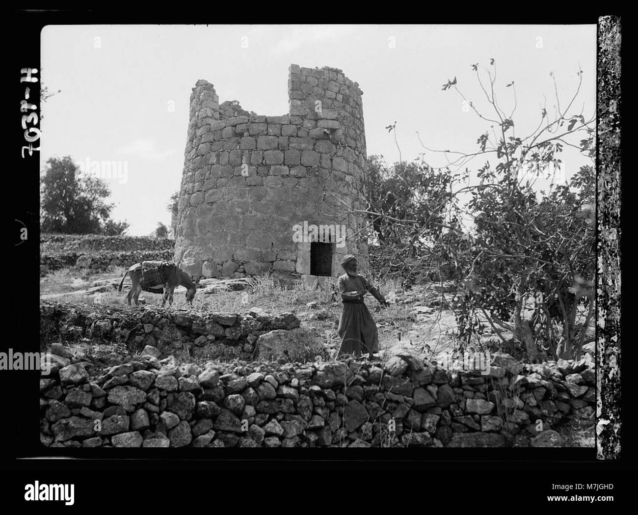 Une photographie représentant les champs du berger à Bethléem, un site traditionnel associé à l'histoire de la nativité, particulièrement pertinent pour les thèmes de Noël et l'histoire religieuse. Banque D'Images