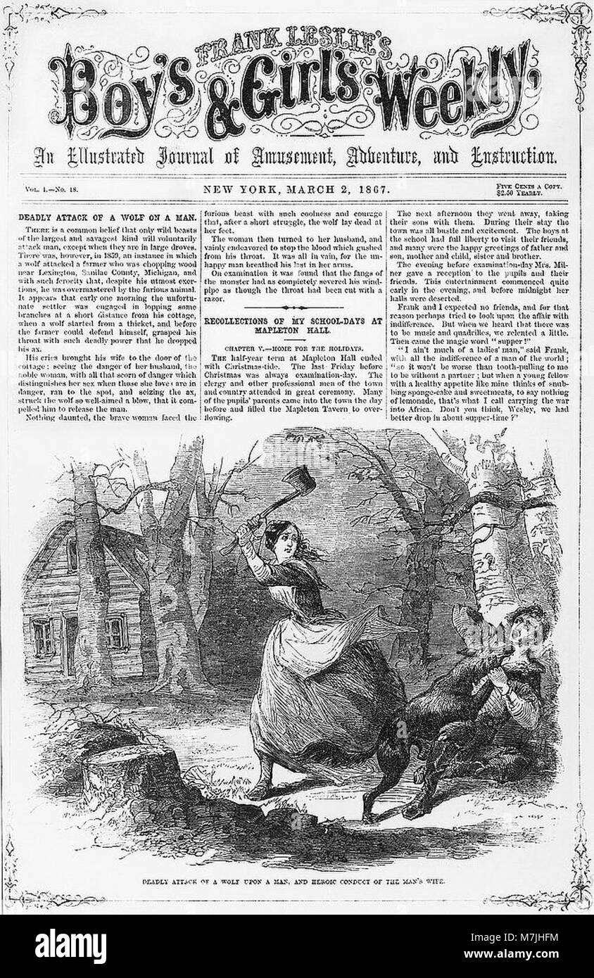 Une photographie dramatique racontant l'attaque mortelle d'un loup sur un homme, avec sa femme montrant des actions héroïques pour le sauver. L'image capture la tension et le danger de la situation. Banque D'Images