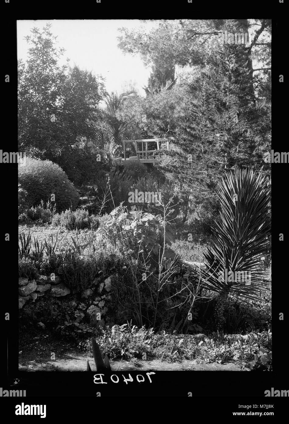 Le tombeau du jardin, situé à Jérusalem, est considéré comme le lieu de sépulture de Jésus-Christ. A proximité se trouve le Calvaire de Gordon, considéré comme le lieu de la crucifixion, les deux sites sont importants pour le pèlerinage chrétien et l'histoire religieuse. Banque D'Images