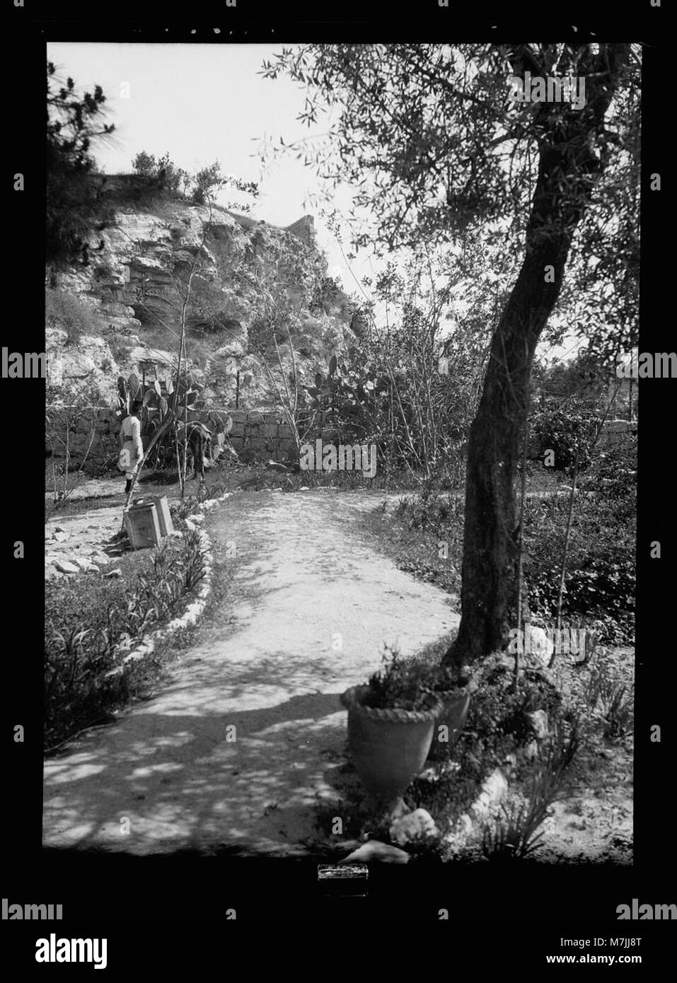 Le Tombeau du jardin et le Calvaire de Gordon à Jérusalem sont des sites historiques et religieux importants, traditionnellement liés à la crucifixion et à l'enterrement de Jésus-Christ, offrant un aperçu de l'histoire chrétienne antique. Banque D'Images