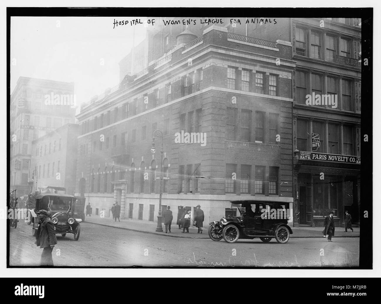 L'Hôpital de la Ligue des femmes pour les animaux a été créé pour soigner les animaux dans le besoin. Il représente un effort précoce des organisations de femmes pour aborder le bien-être animal, offrant traitement et soutien à diverses espèces animales. Banque D'Images