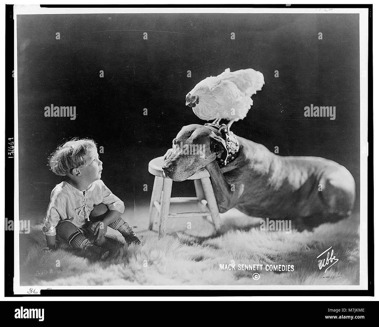 Une scène réconfortante mettant en scène un grand chien reposant sur un repose-pieds avec un poulet perché sur son collier. Un petit enfant est assis sur un tapis de fourrure, regardant l'interaction inhabituelle avec les animaux. Banque D'Images Une scène réconfortante mettant en scène un grand chien reposant sur un repose-pieds avec un poulet perché sur son collier. Un petit enfant est assis sur un tapis de fourrure, regardant l'interaction inhabituelle avec les animaux. Banque D'Images