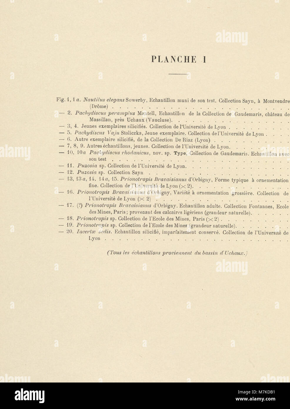 Une édition 1920 des Archives du Muséum d'histoire naturelle de Lyon, présentant des études zoologiques, botaniques et géologiques du Muséum d'histoire naturelle de Lyon. Banque D'Images