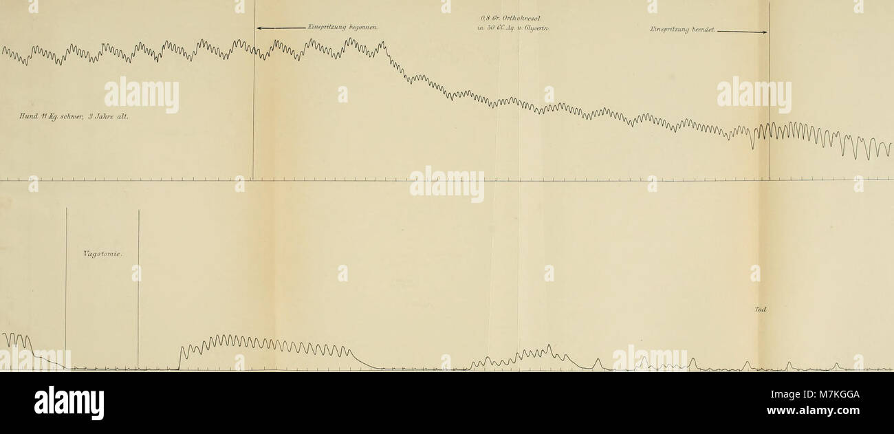La publication de 1889 de 'Archiv für physiologie' comprend des études sur la physiologie humaine et comparée, détaillant les recherches sur les fonctions biologiques, les systèmes d'organes et les mécanismes physiologiques. Banque D'Images