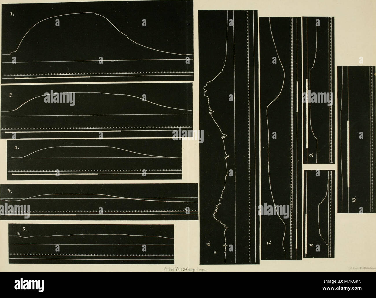Le numéro 1907 de 'Archiv für physiologie' présente des recherches sur la physiologie humaine et comparée, détaillant des études expérimentales qui ont fait progresser la compréhension biologique dans la science du début du XXe siècle. Banque D'Images