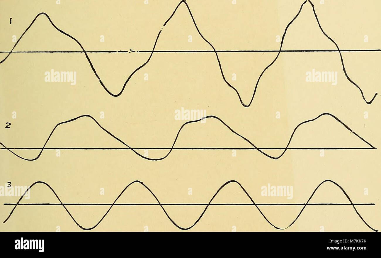 Un manuel pratique de l'électricité médicale - les rayons Röntgen et Finsen (1902) (14597032148) Banque D'Images