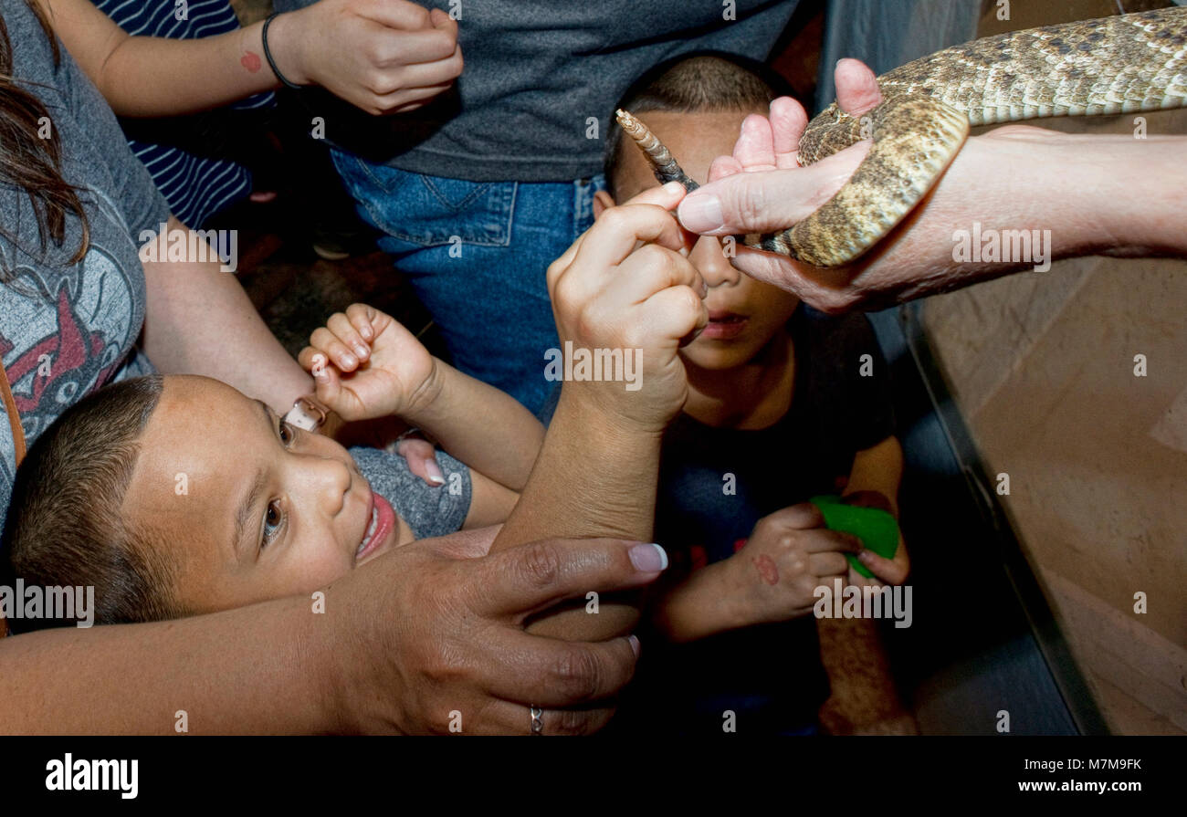 Sweetwater, Texas - Mars 10,2018 60th Annual Sweetwater, Texas rattlesnake roundup en importance dans le monde. Banque D'Images