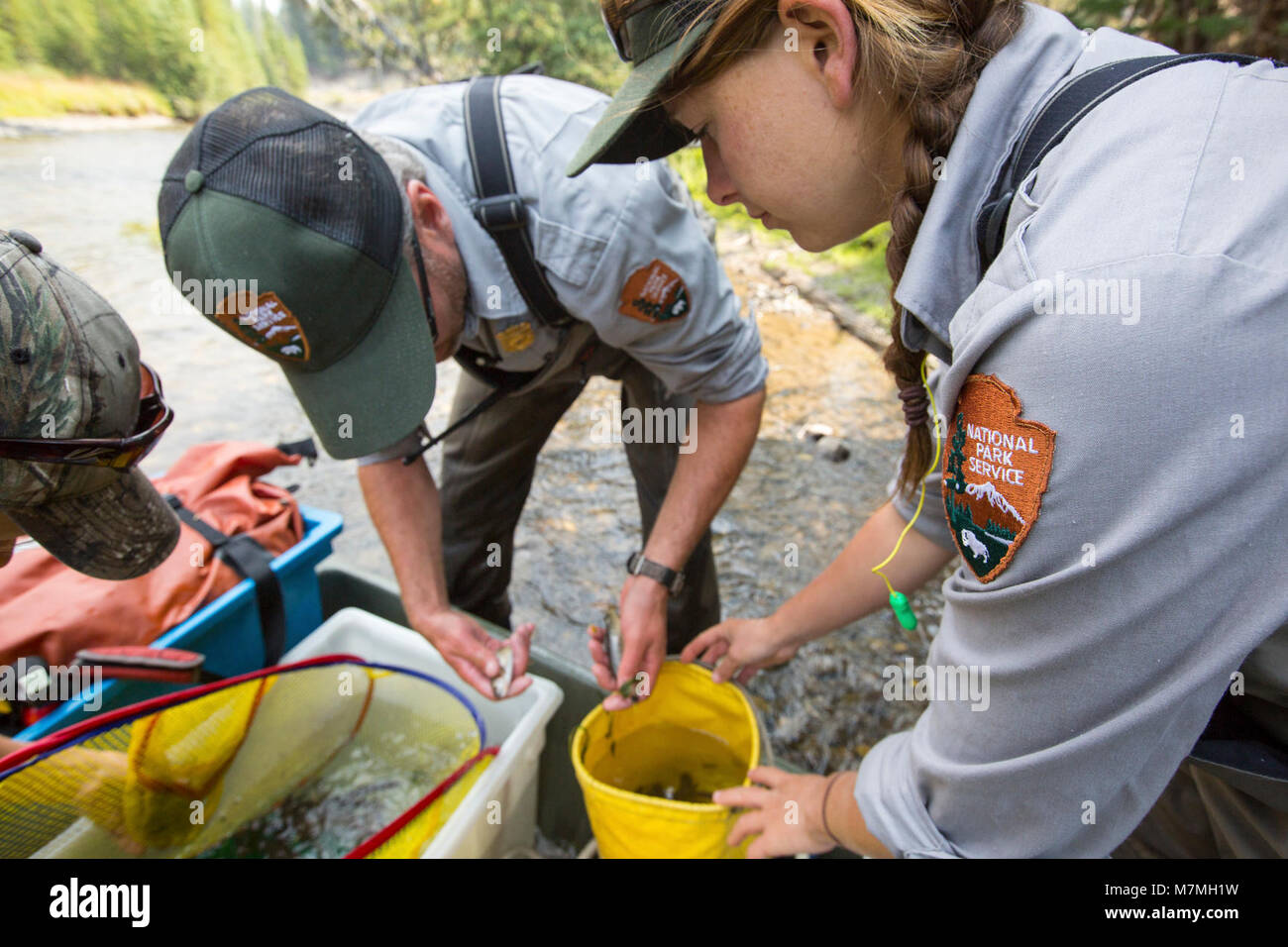 Brian Ertel et Lauren McGarvey tri du poisson le long de Soda Butte ...