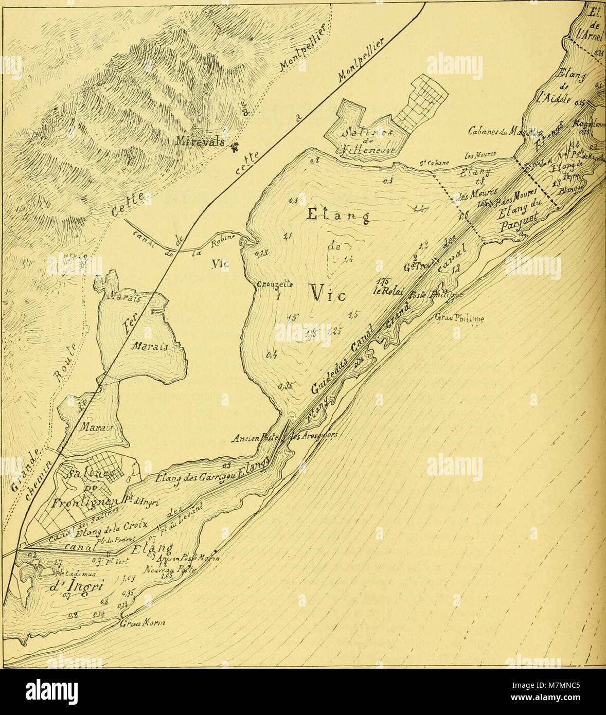 Les Annales du Muséum d'histoire naturelle de Marseille de 1897 à 1899 comprennent des études en zoologie, botanique et géologie, documentant la biodiversité régionale et l'exploration scientifique dans le sud de la France. Banque D'Images