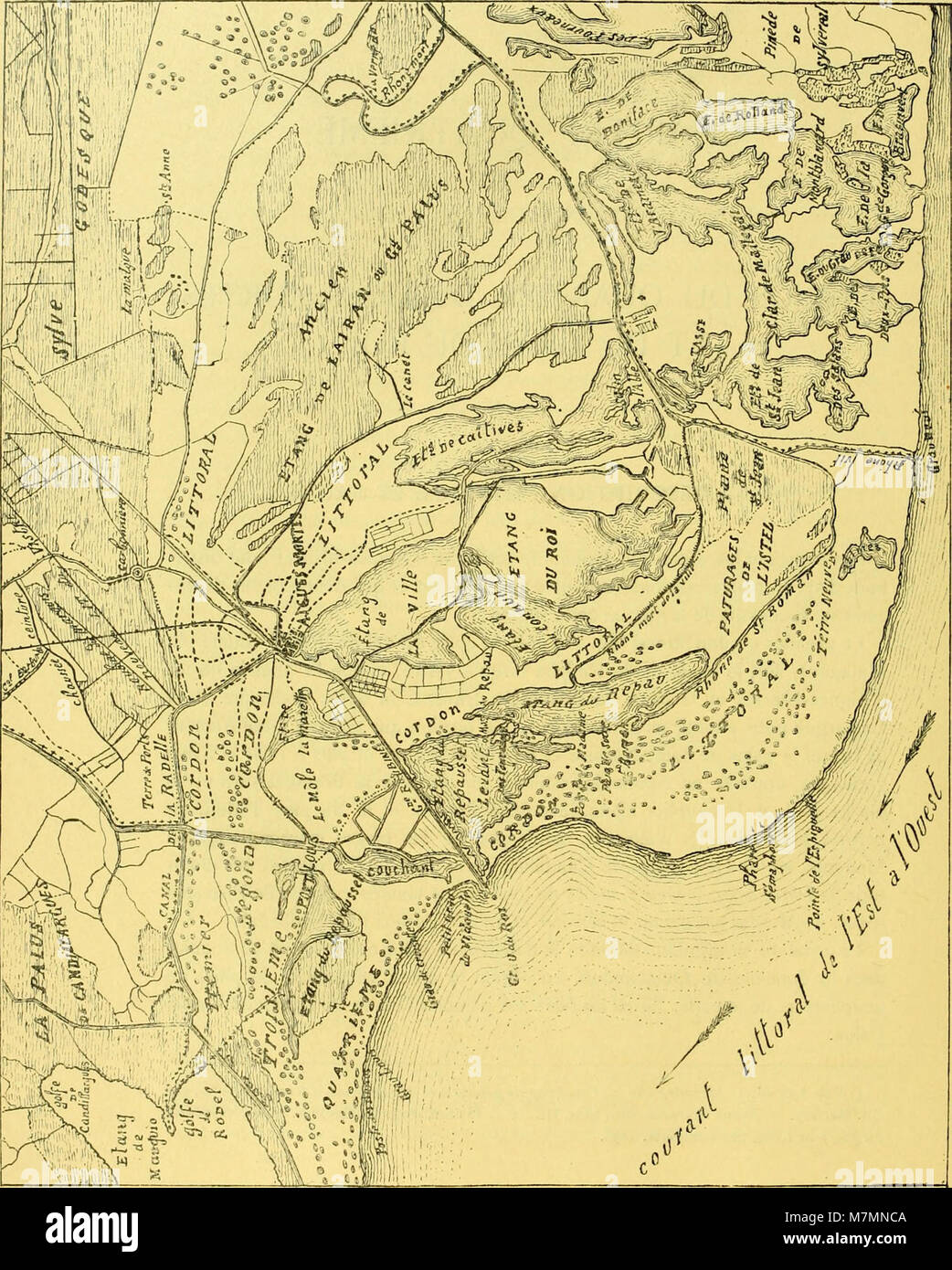 Revue scientifique publiée entre 1897 et 1899 par le Musée d’histoire naturelle de Marseille, présentant des études en zoologie, botanique, géologie et biodiversité régionale. Banque D'Images