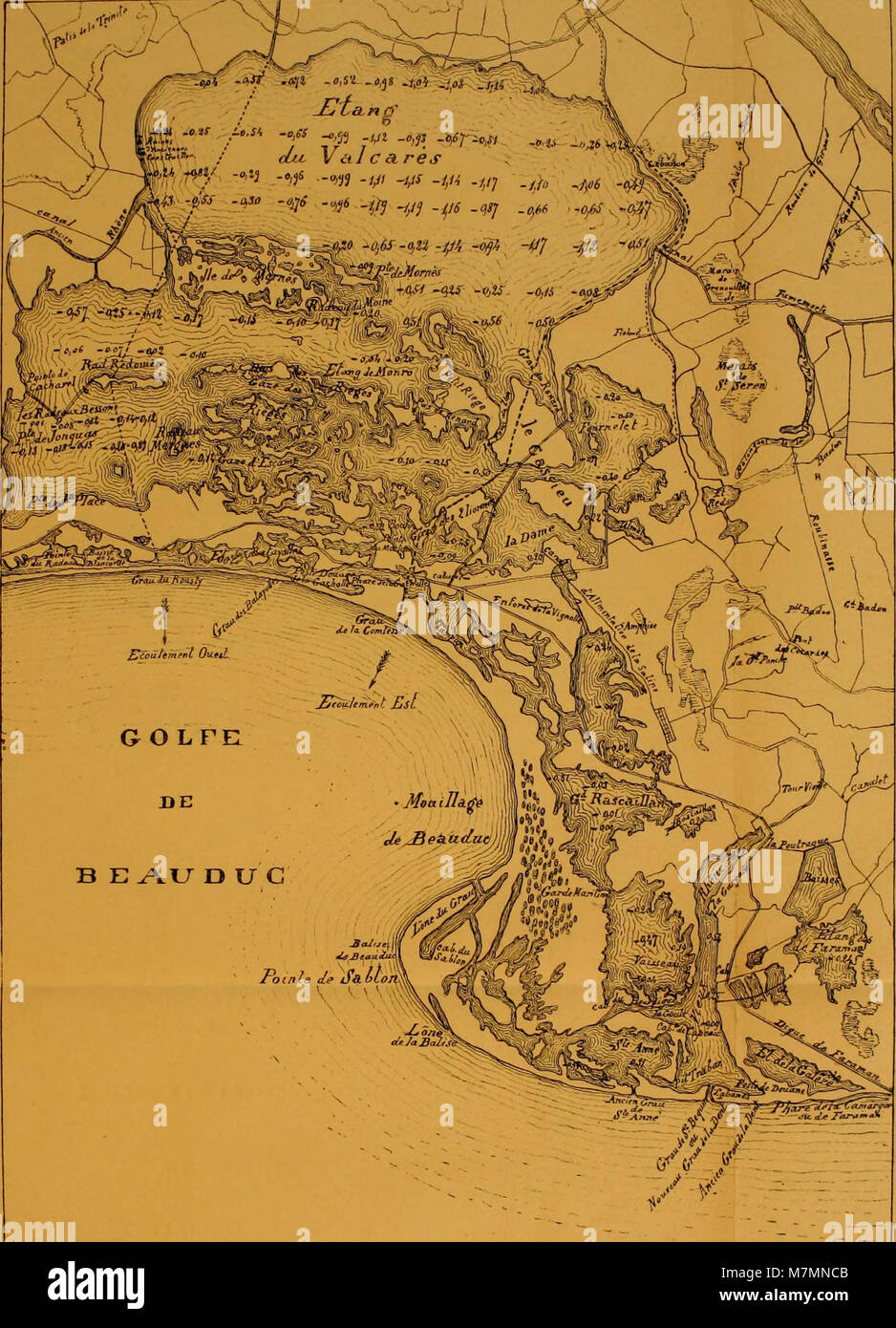 Cette série de 1897-1899 des Annales du Musée d'histoire naturelle de Marseille documente des études zoologiques, botaniques et géologiques menées au musée, y compris des observations d'espèces et des analyses d'habitats. Banque D'Images