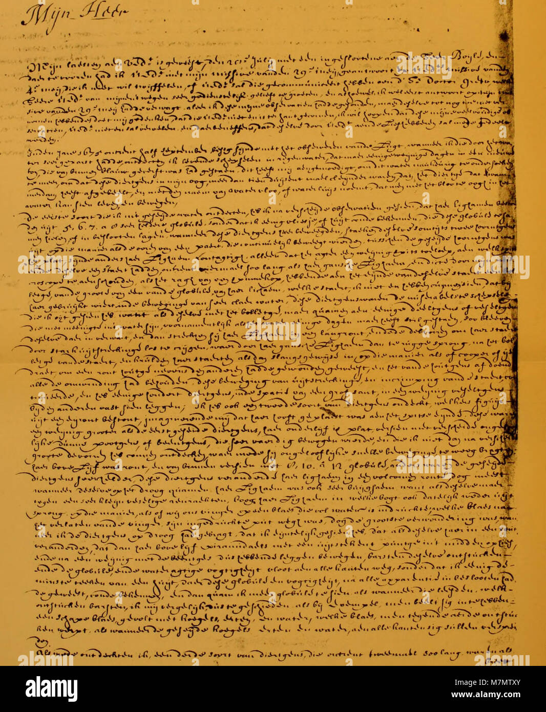 La publication de 1932 Antony van Leeuwenhoek et ses petits animaux documente les découvertes pionnières de Leeuwenhoek en protozoologie et en bactériologie, mettant en évidence ses études microscopiques des micro-organismes. Banque D'Images