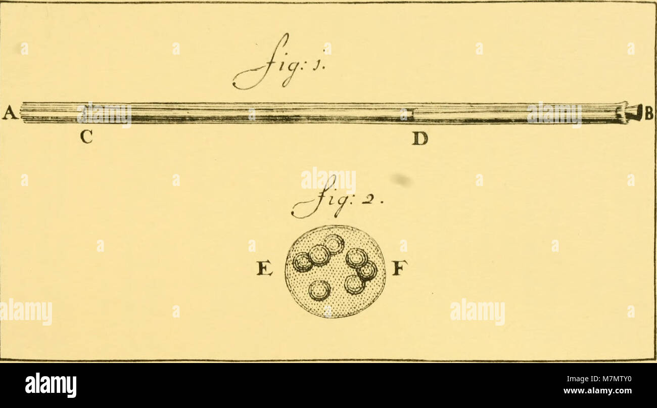 Récit biographique d'Antony van Leeuwenhoek, scientifique pionnier en microbiologie, dont les observations microscopiques ont révélé des micro-organismes, fondant la protozoologie et la bactériologie au XVIIe siècle. Banque D'Images