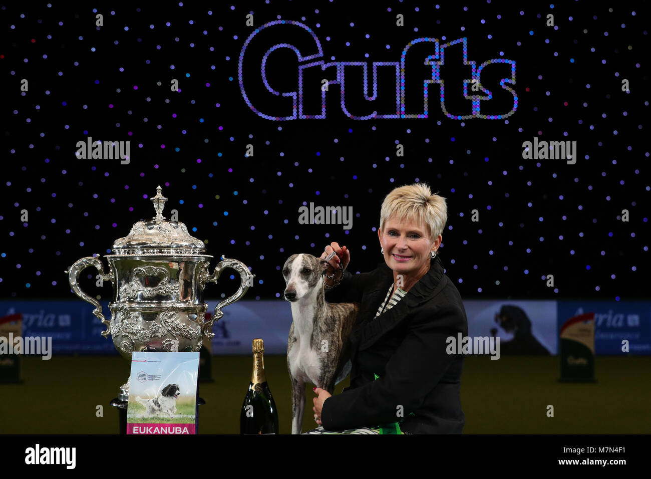 Tease, le Whippet, avec Yvette propriétaire peu après elle a été nommée Championne suprême au cours de la dernière journée de Crufts 2018 au NEC de Birmingham. Banque D'Images