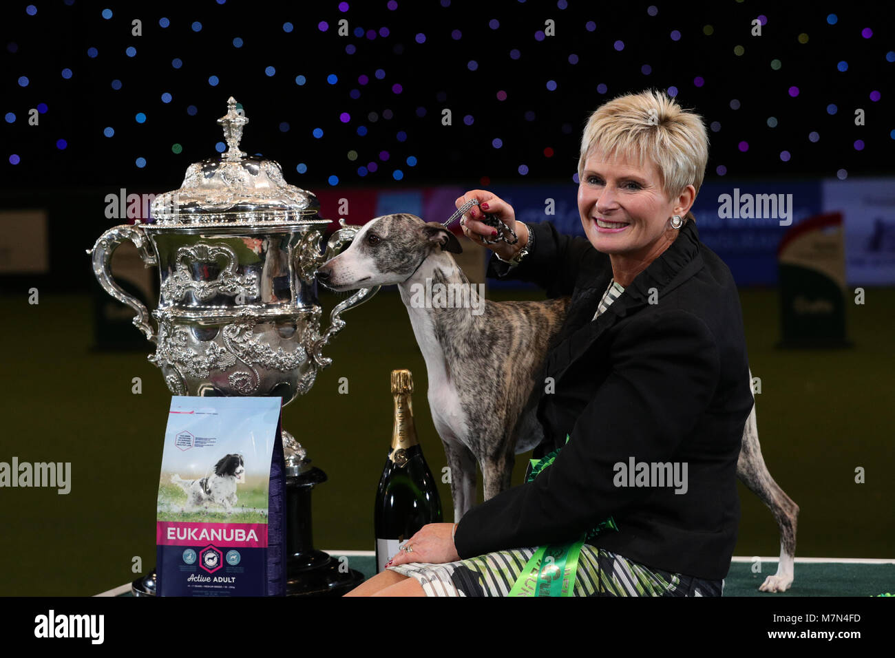 Tease, le Whippet, avec Yvette propriétaire peu après elle a été nommée Championne suprême au cours de la dernière journée de Crufts 2018 au NEC de Birmingham. Banque D'Images