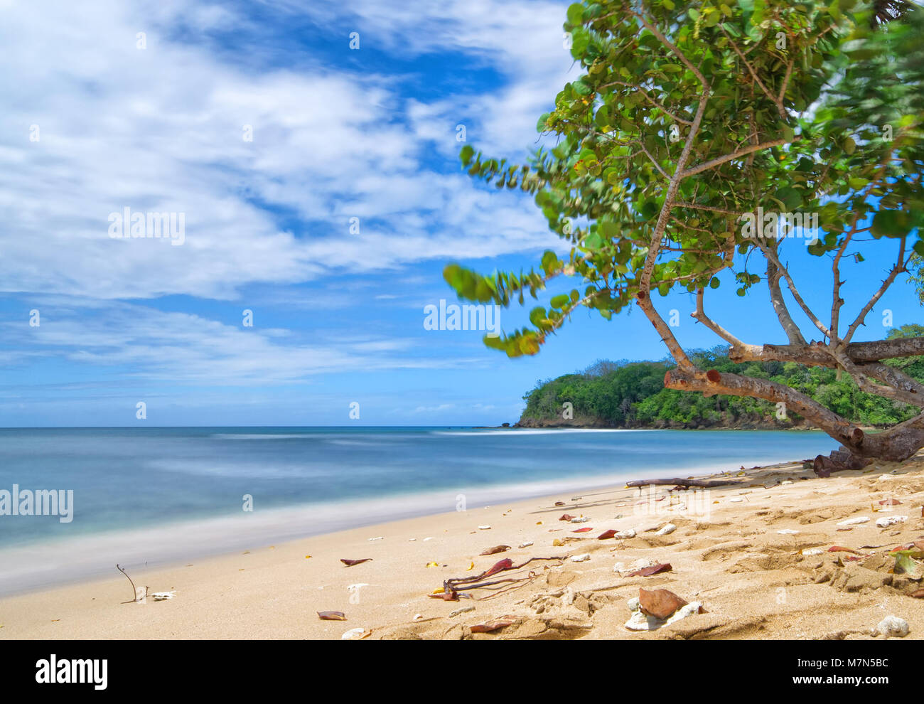 République de Trinité-et-Tobago - Tobago island - Mt. Irvine bay - plage tropicale de la mer des Caraïbes Banque D'Images