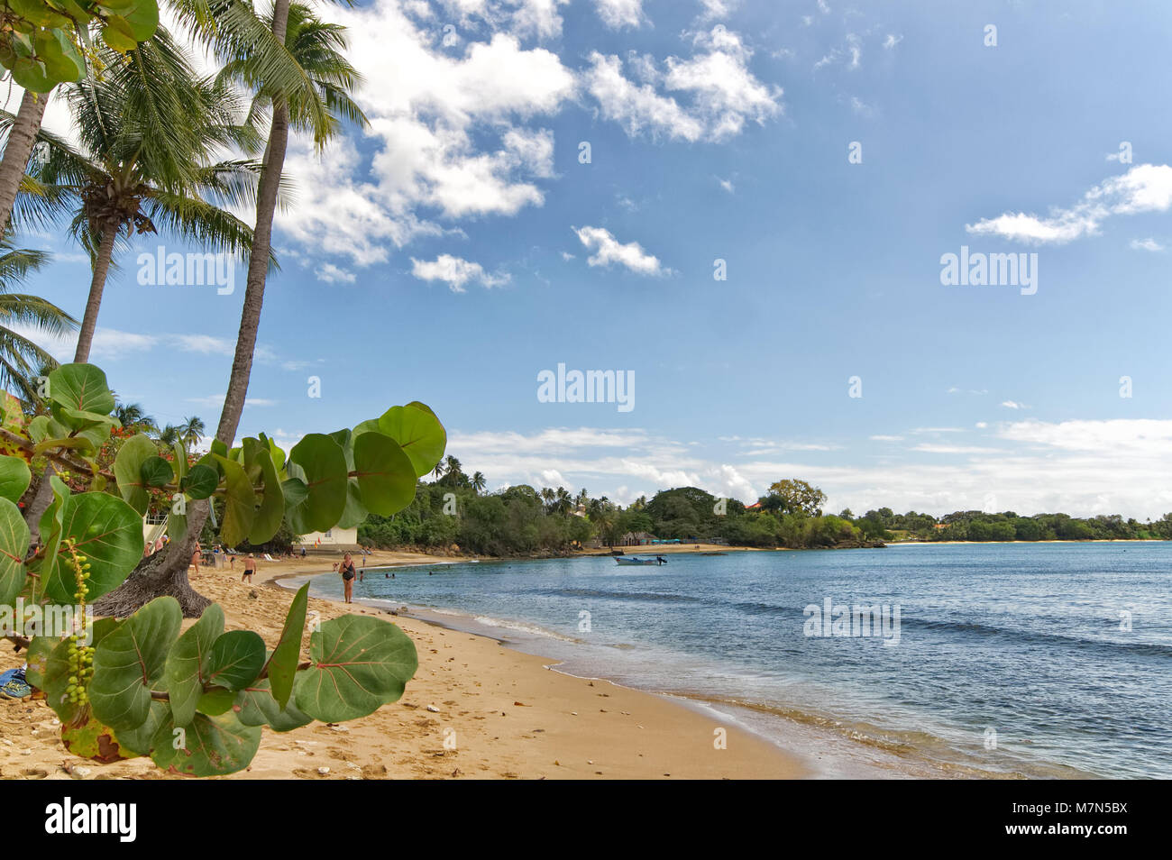 République de Trinité-et-Tobago - Tobago island - Mt. Irvine bay - plage tropicale de la mer des Caraïbes Banque D'Images