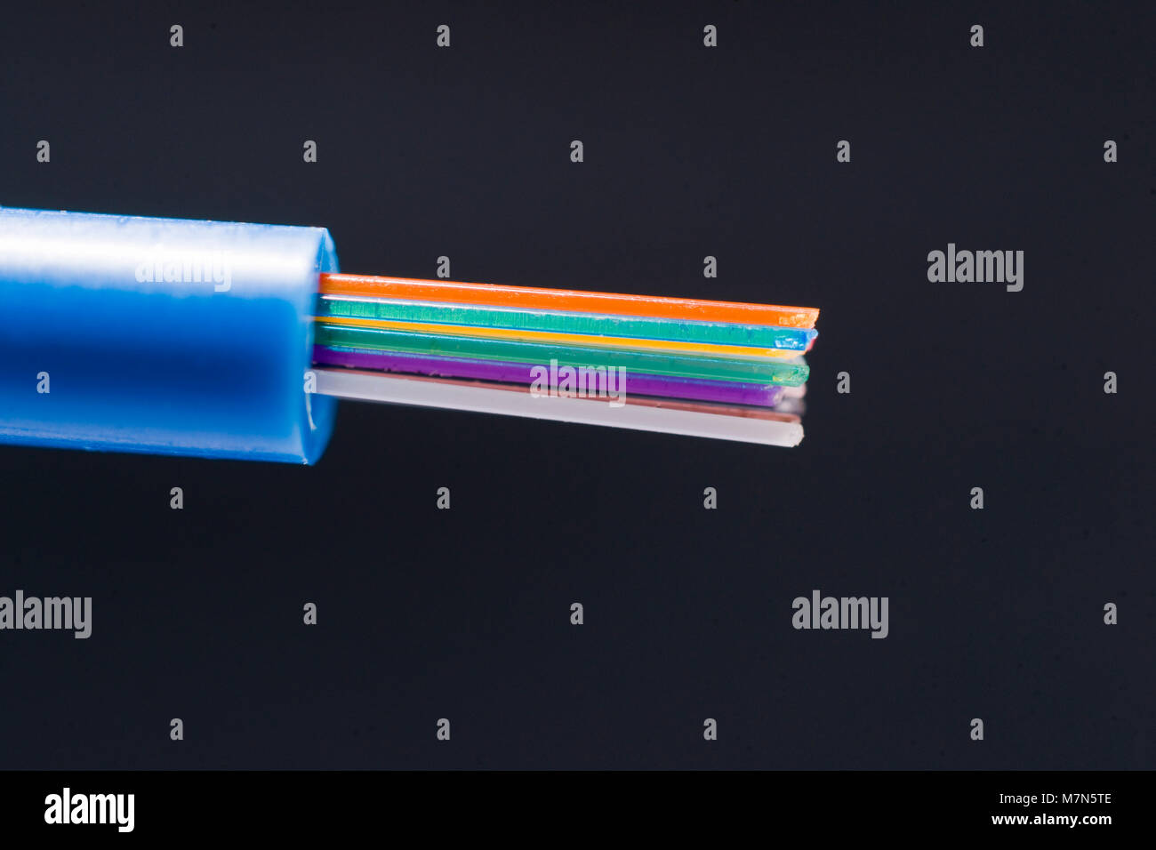 Des codes de couleur 250 microns fibres optiques qui dépasse de 3 mm tube tampon Banque D'Images
