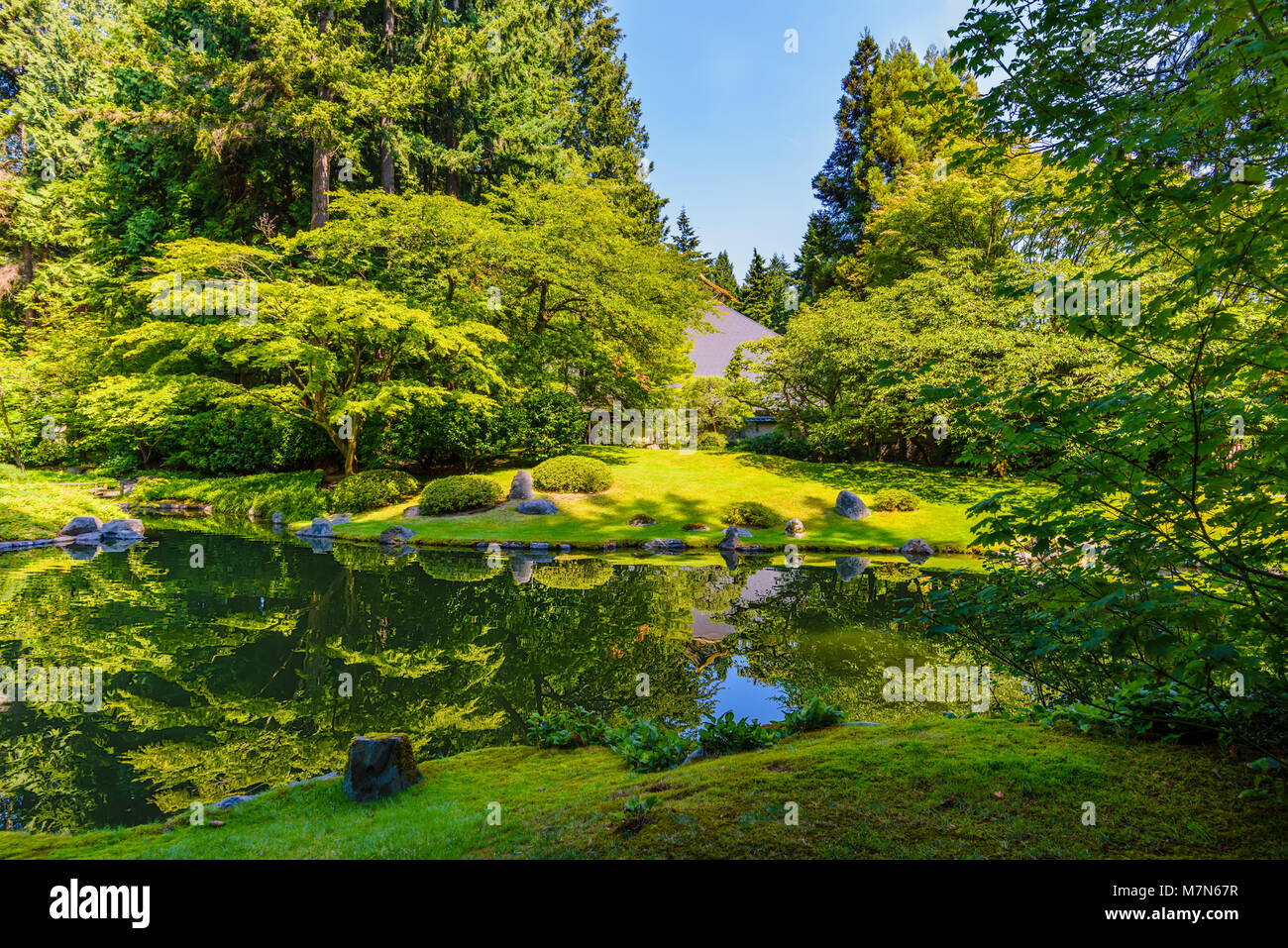 Comme un miroir douceur du lac dans un parc avec le reflet des arbres et arbustes, le toit de l'immeuble, l'herbe verte et des pierres près du rivage Banque D'Images