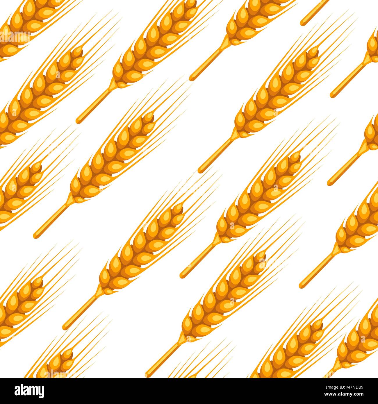 Modèle sans couture avec le blé. Droit agricole Golden Ears naturelles d'orge ou de seigle. Facile d'utilisation pour toile de fond, du textile, du papier d'emballage, papier peint Illustration de Vecteur