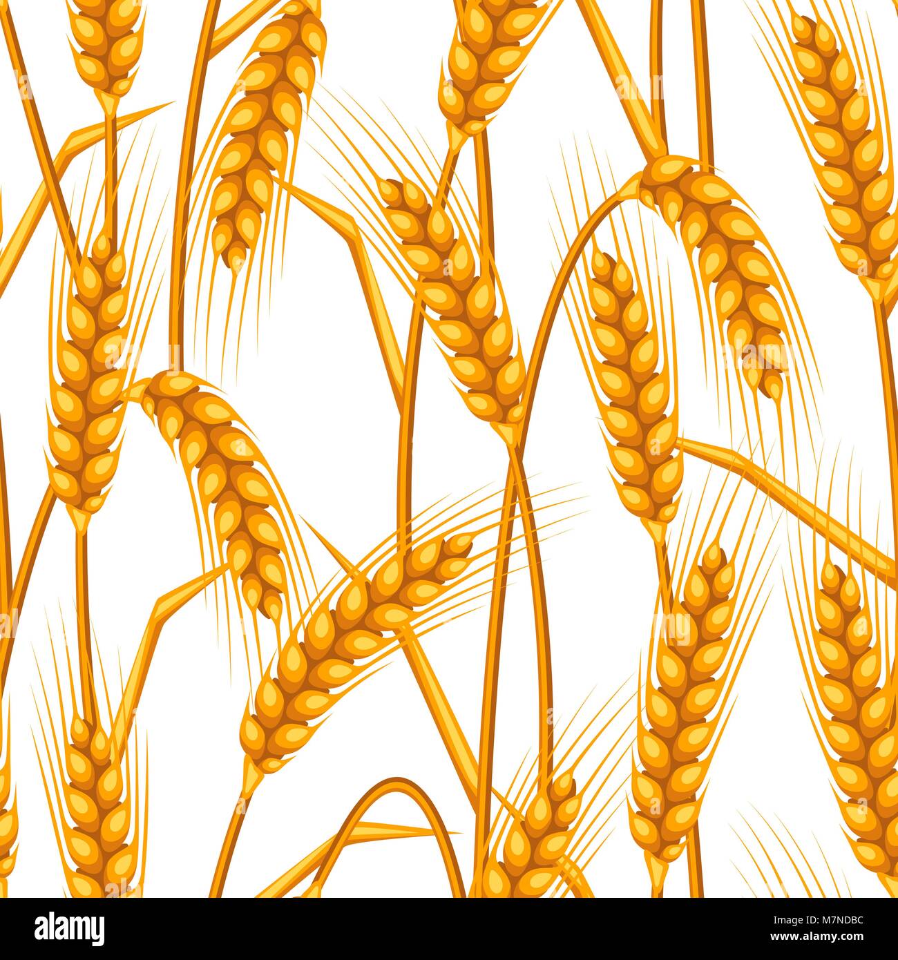 Modèle sans couture avec le blé. Droit agricole Golden Ears naturelles d'orge ou de seigle. Facile d'utilisation pour toile de fond, du textile, du papier d'emballage, papier peint Illustration de Vecteur