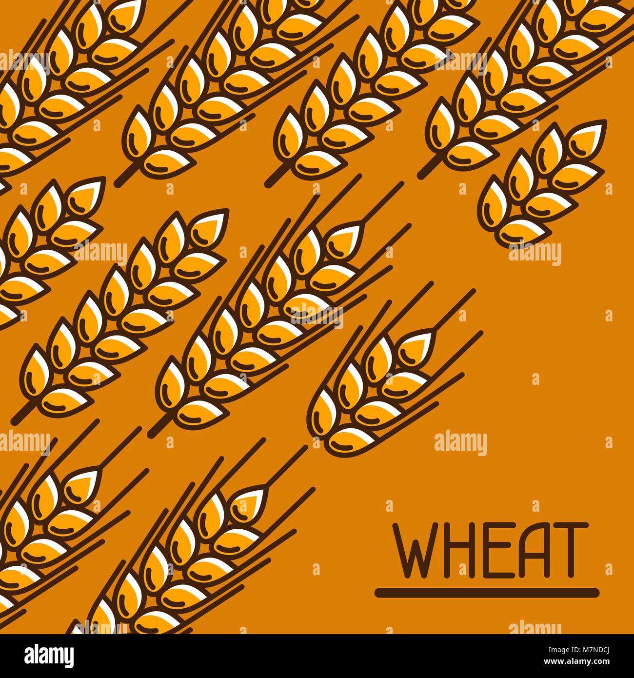 Arrière-plan avec le blé. Droit agricole Golden Ears naturelles d'orge ou de seigle. Pour l'emballage, la conception de brochures et dépliants publicitaires Illustration de Vecteur