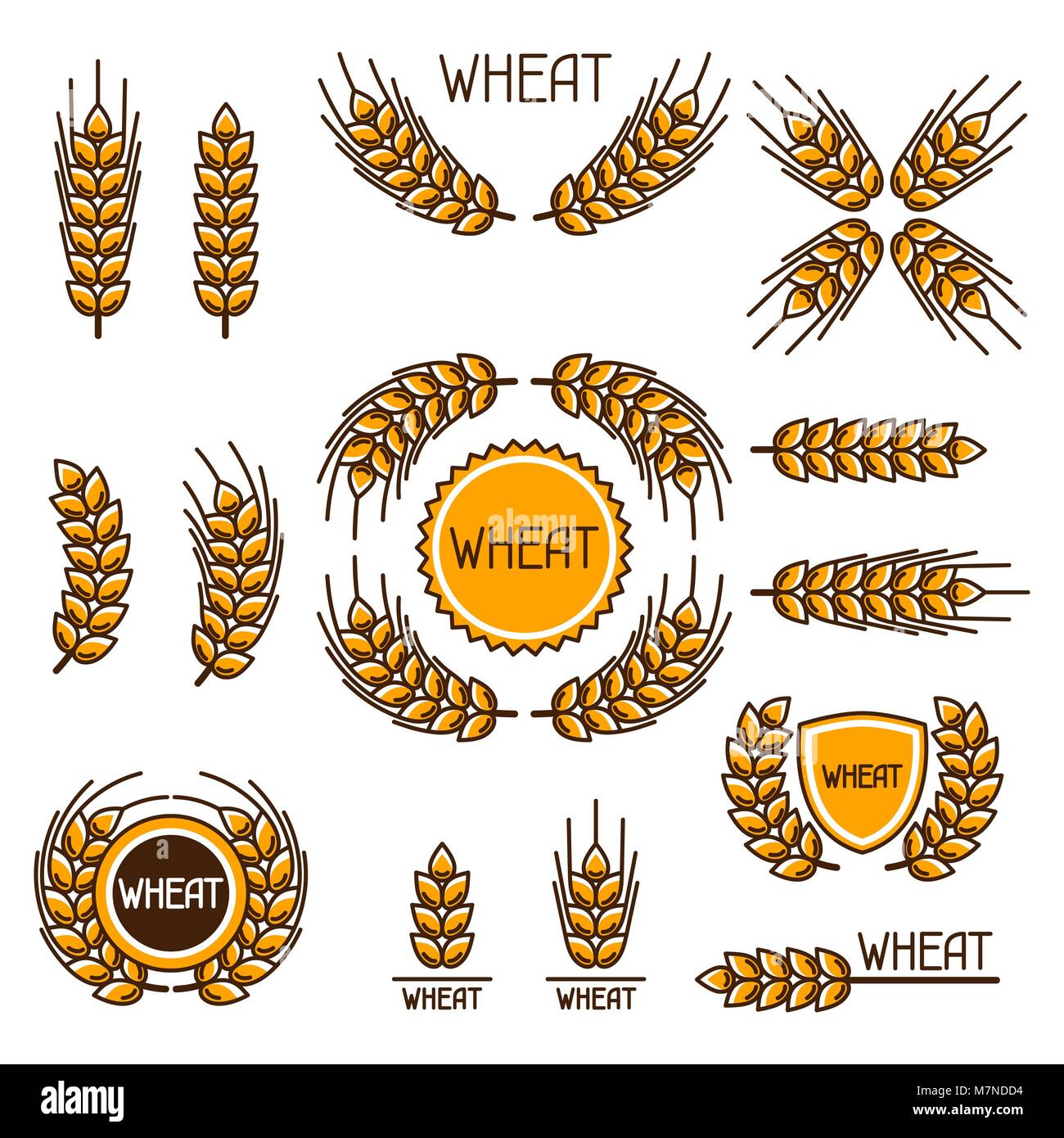 Éléments de design avec le blé. Droit agricole oreilles naturelles d'orge ou de seigle. Pour la décoration d'objets d'emballage, des étiquettes de bière pain Illustration de Vecteur