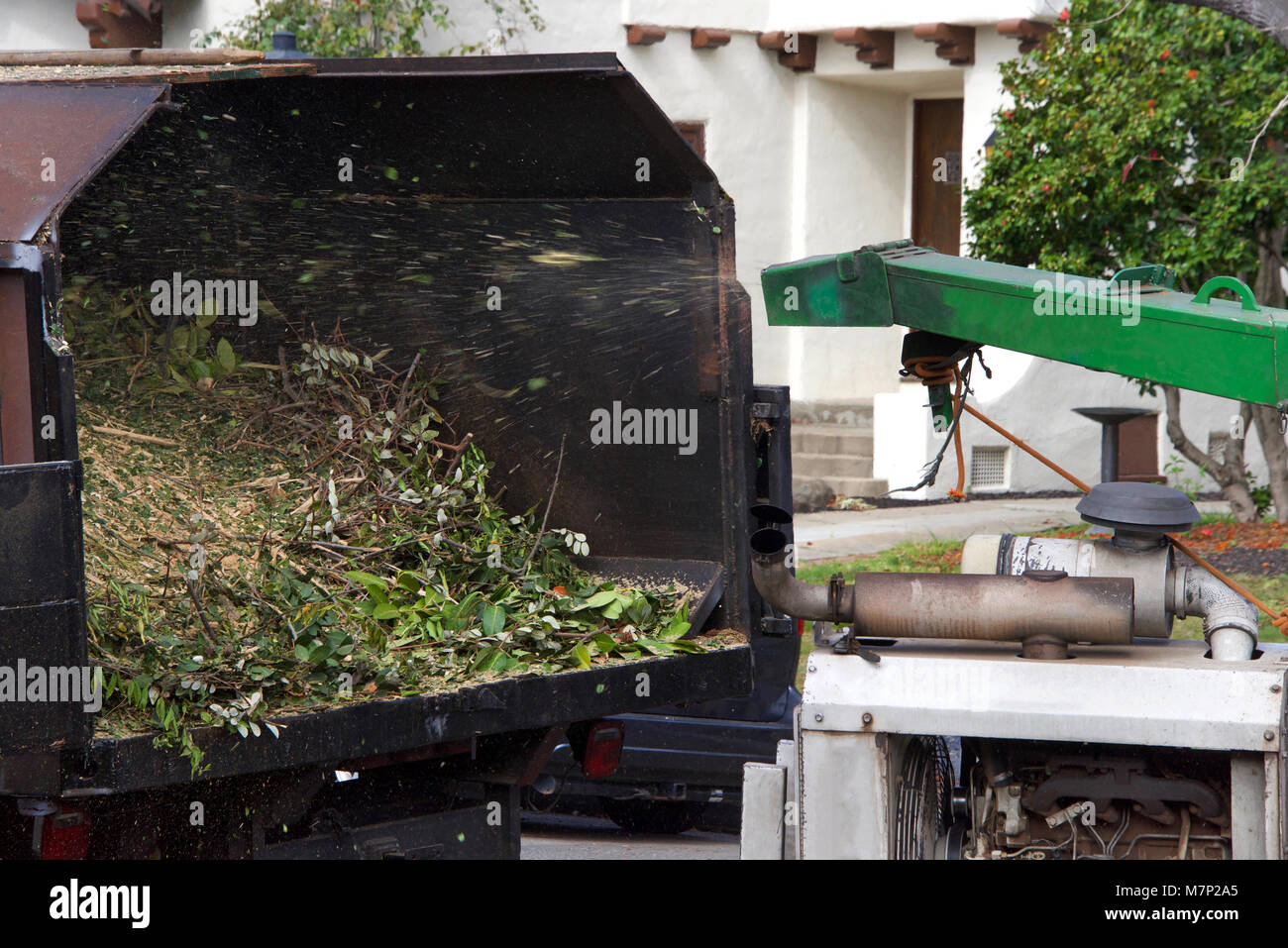 Broyeur de branches d'arbres souffle coupé jusqu'à l'arrière d'un camion. Un arbre de branches ou broyeur est une machine portable utilisé pour réduire le bois en s Banque D'Images