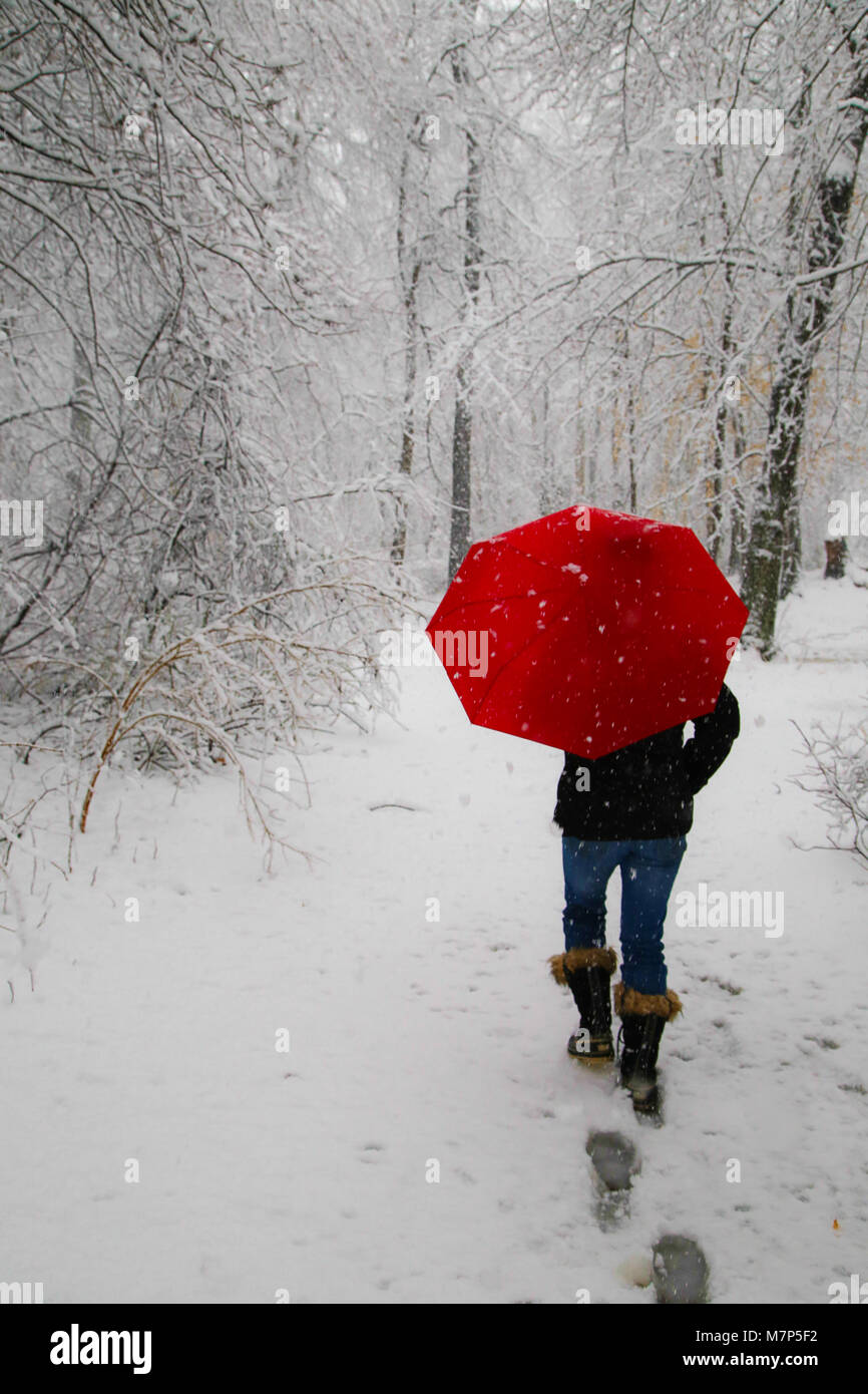 Parapluie rouge en tempête de neige Banque D'Images