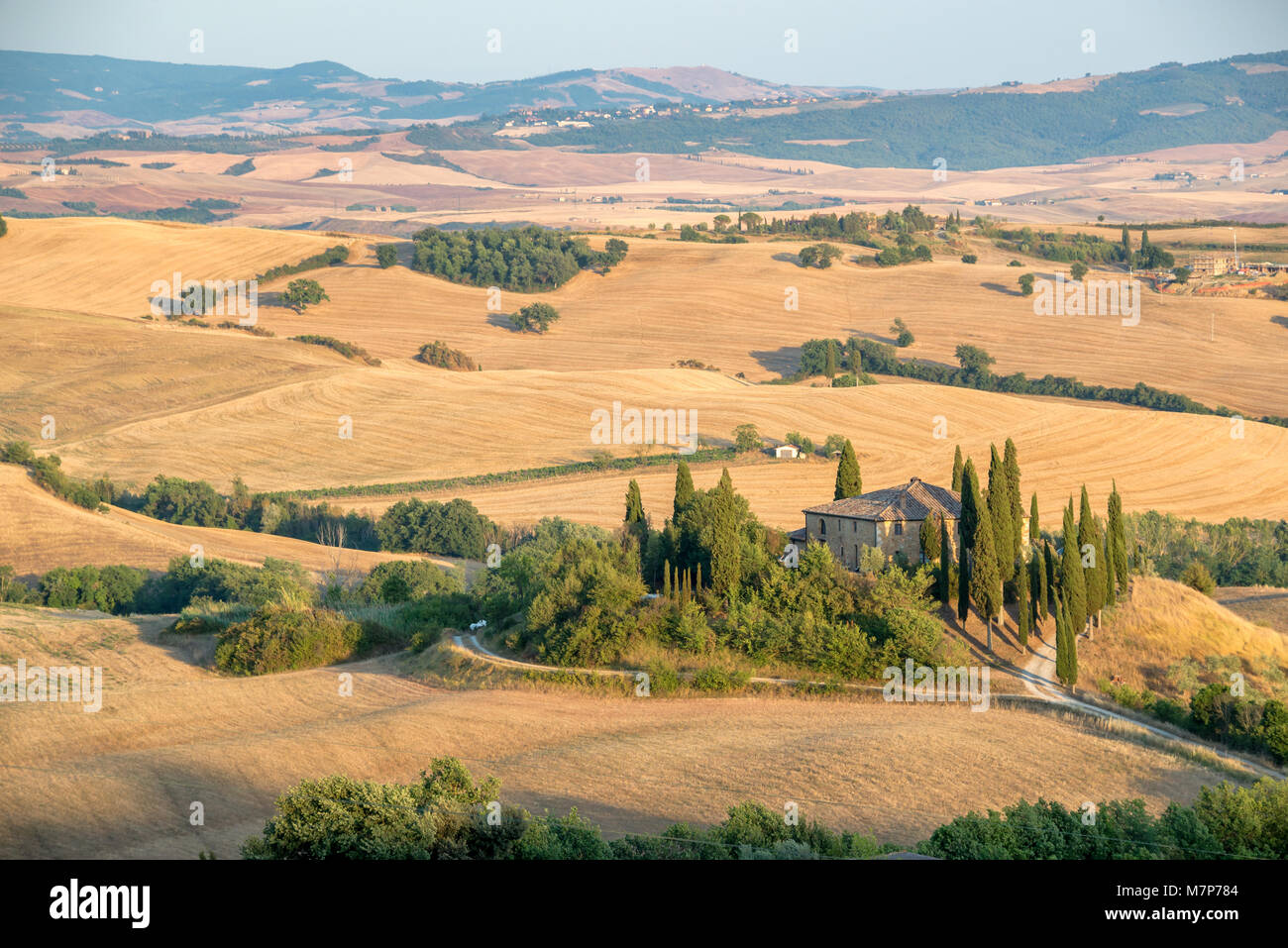 Belle campagne typique paysage d'été en Toscane, Italie Banque D'Images