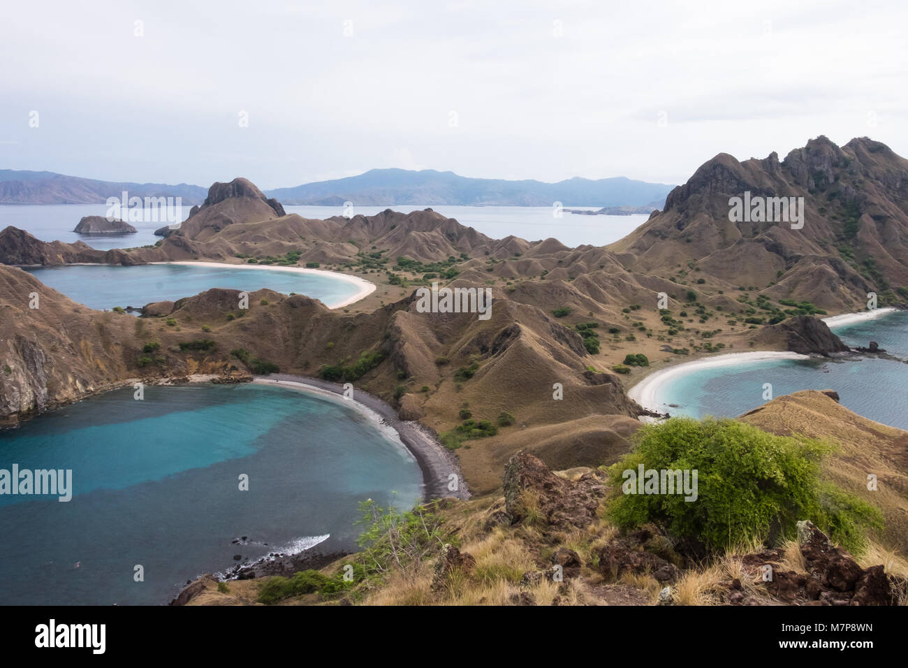 Belle de l'île de Padar à Labuan Bajo Flores, Indonésie Banque D'Images