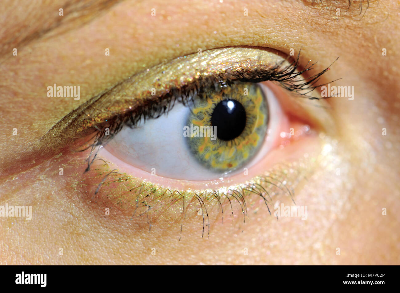 L'orgue, la vue, l'oeil, yeux, couleur, perception, sens, humain, personne, cadre, l'accent, de la santé, de l'humain, les gens, les femmes, Banque D'Images