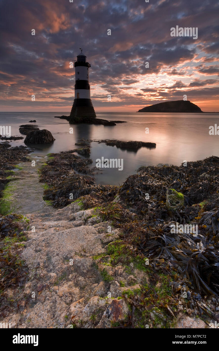 Penmon phare à l'aube, Anglesey, au nord du Pays de Galles Banque D'Images