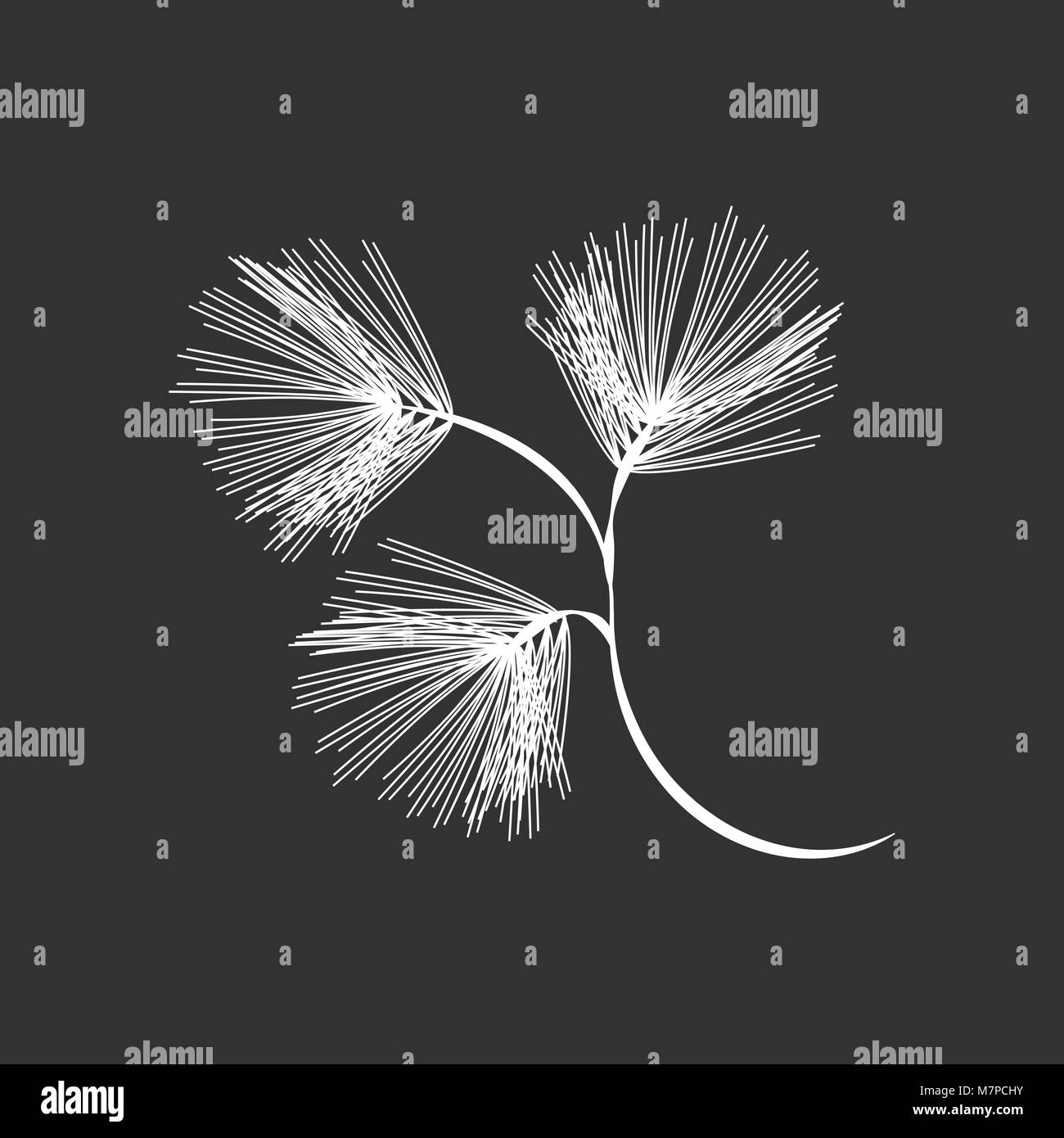 Pine Tree branch Illustration de Vecteur