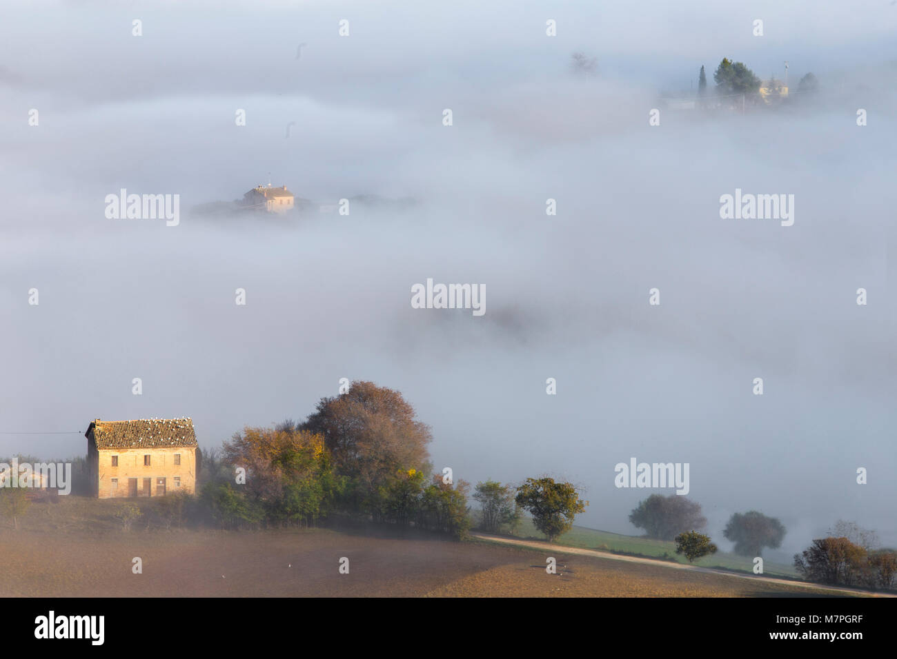 Les collines de Marchigian sous le brouillard dans la province de Macerata, Marches, Italie campagne Banque D'Images