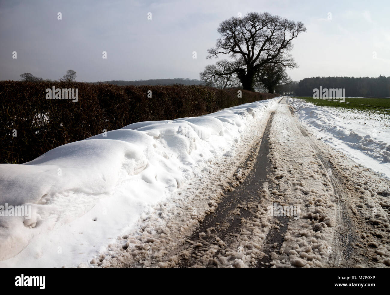 Une route de campagne en hiver avec la neige, Warwickshire, UK Banque D'Images