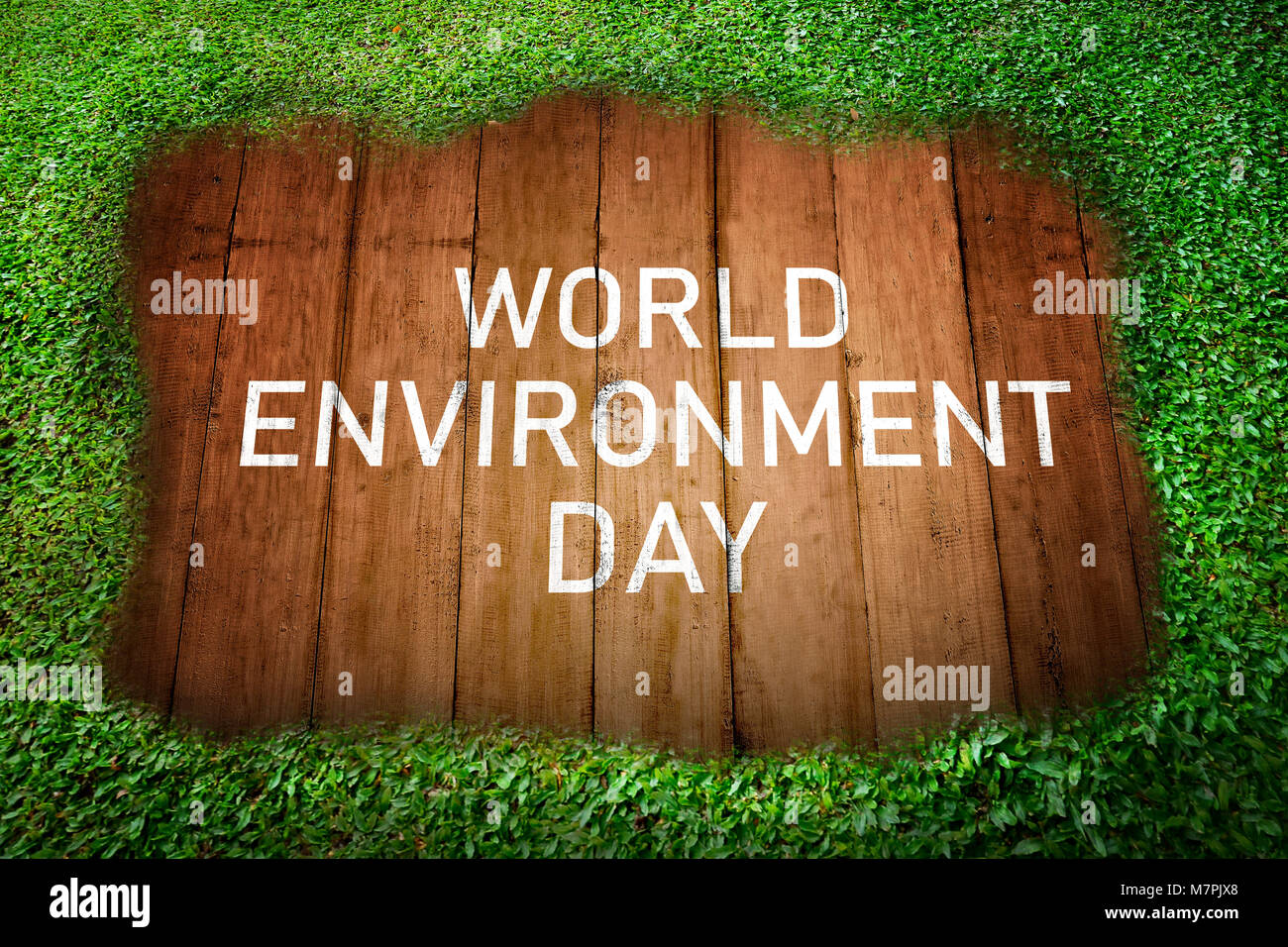 La journée mondiale de l'environnement message sur planche en bois avec fond d'herbe verte Banque D'Images