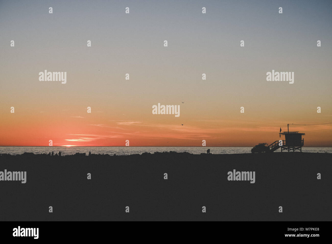 Coucher de Venice Beach, Los Angeles - Palm Tree Silhouette Banque D'Images