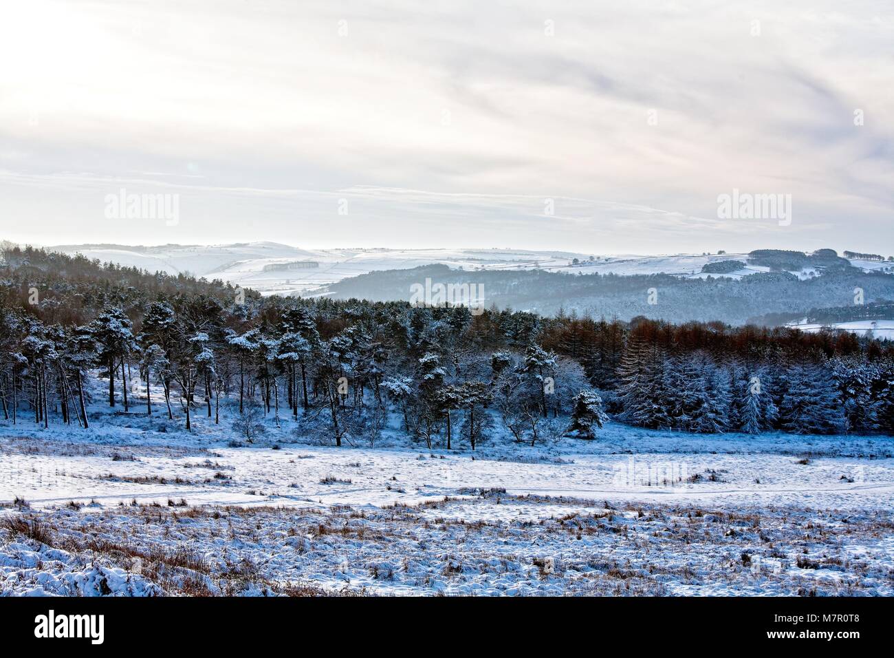 HIGGER TOR VU ENTRE LES ARBRES AU PARC NATIONAL DE PEAK DISTRICT LONGSHAW Banque D'Images