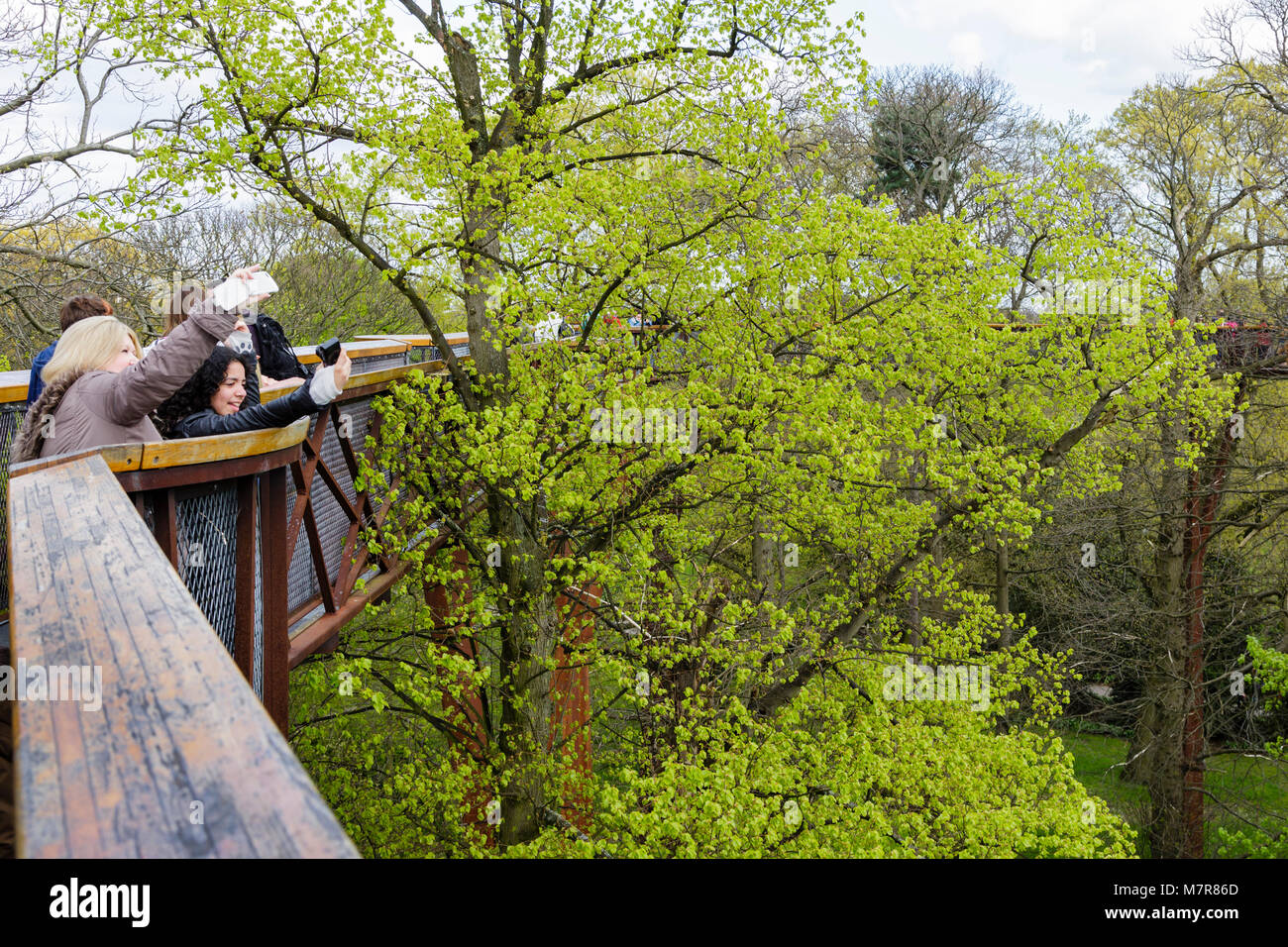 Londres, Royaume-Uni - 18 avril, 2014. Les touristes prendre des autoportraits Treetop Walkway à Kew Botanic Gardens. Banque D'Images