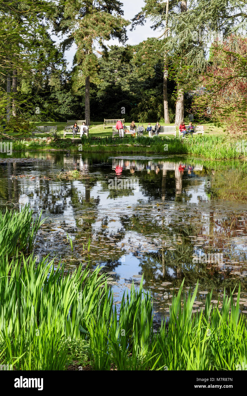 Londres, Royaume-Uni - 18 avril, 2014. Les visiteurs apprécient la vue sur le Bassin aux nymphéas à Kew Botanic Gardens. Banque D'Images