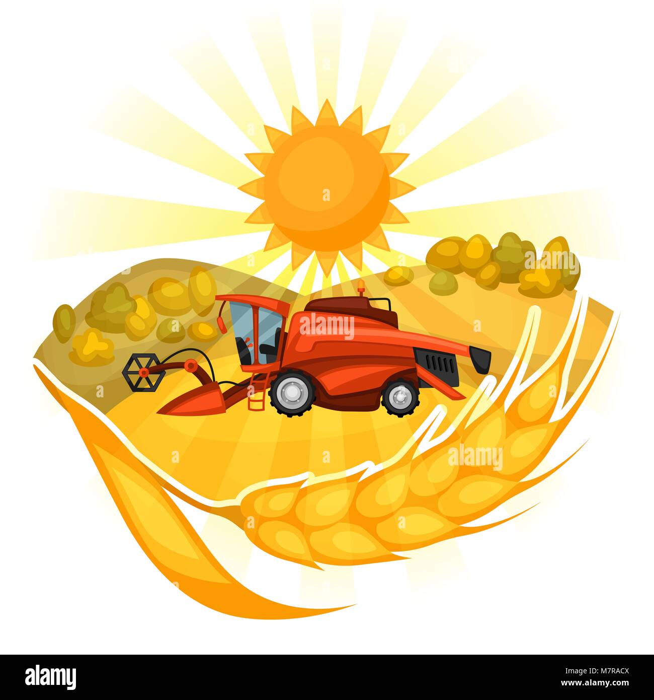 Moissonneuse-batteuse, sur champ de blé. Illustration de l'agriculture farm rural landscape Illustration de Vecteur