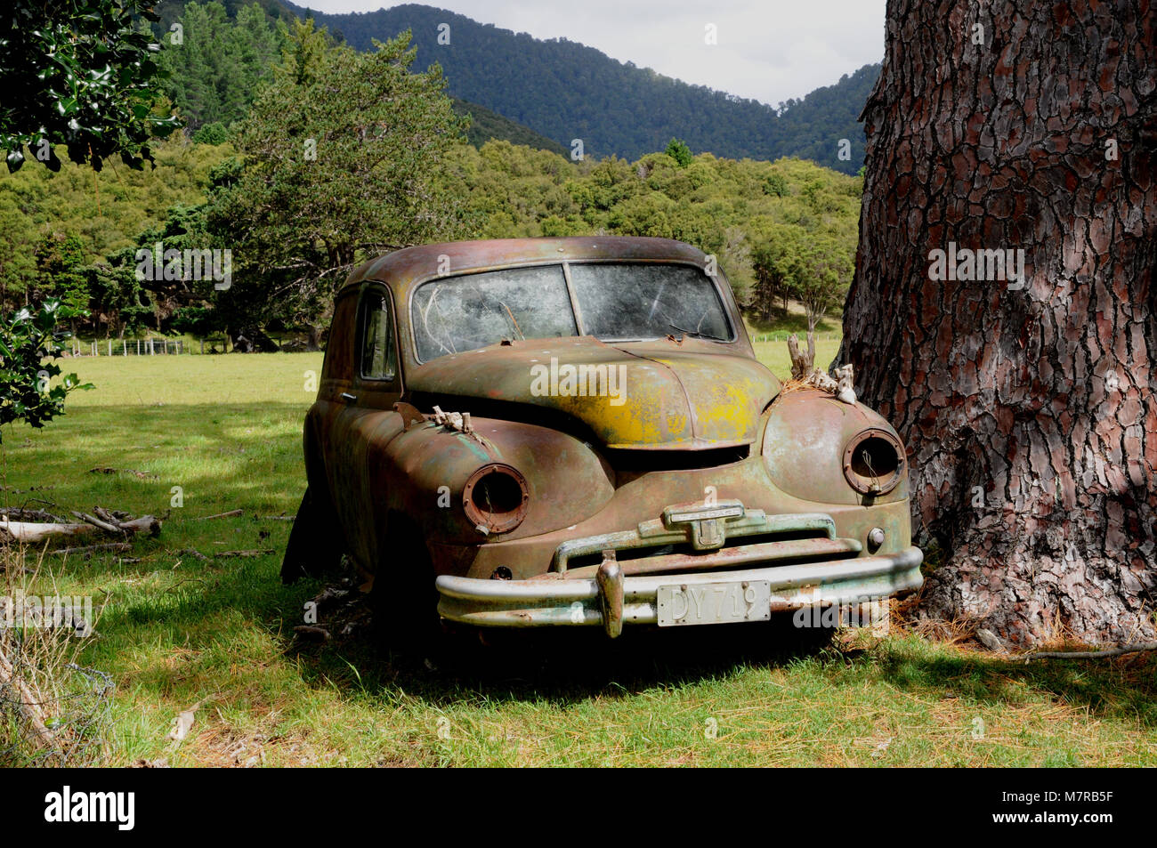 Un Standard Vanguard se trouve abandonné dans un champ sur l'île Sud de la Nouvelle-Zélande. D'origine britannique dans les voitures ont été productiuon de 1948-1963. Banque D'Images