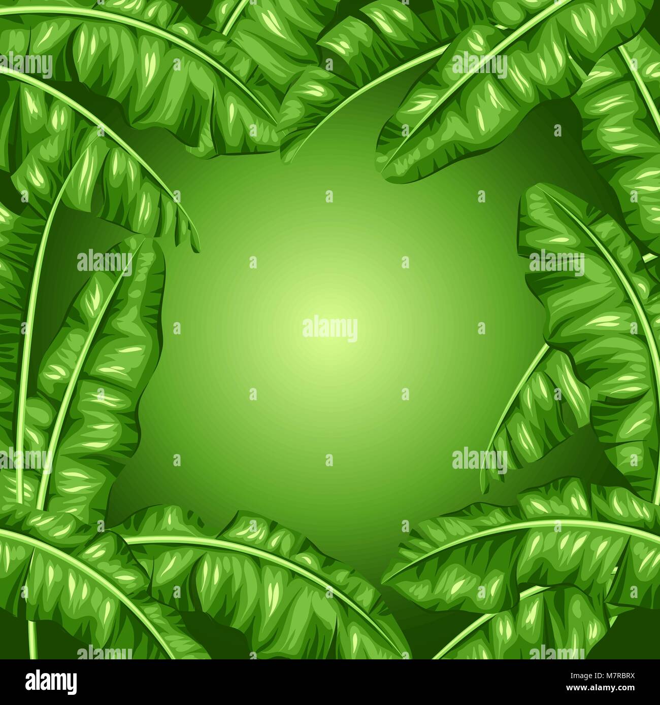 Châssis avec des feuilles de bananier. Image de feuillages tropicaux décoratifs Illustration de Vecteur