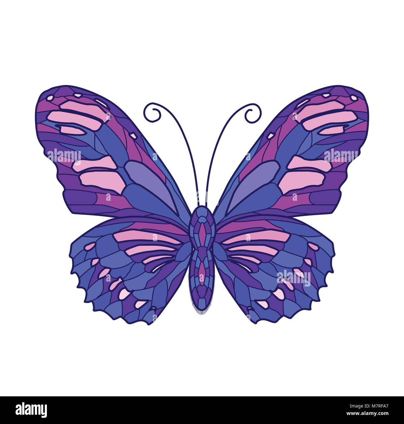 Illustration vecteur de couleur papillon sur fond blanc Illustration de Vecteur