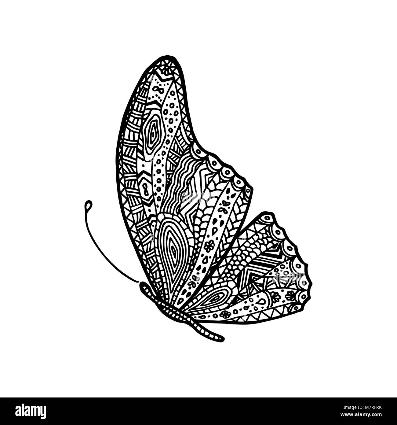 Vector dessin papillon. Livre à colorier pour les adultes Illustration de Vecteur