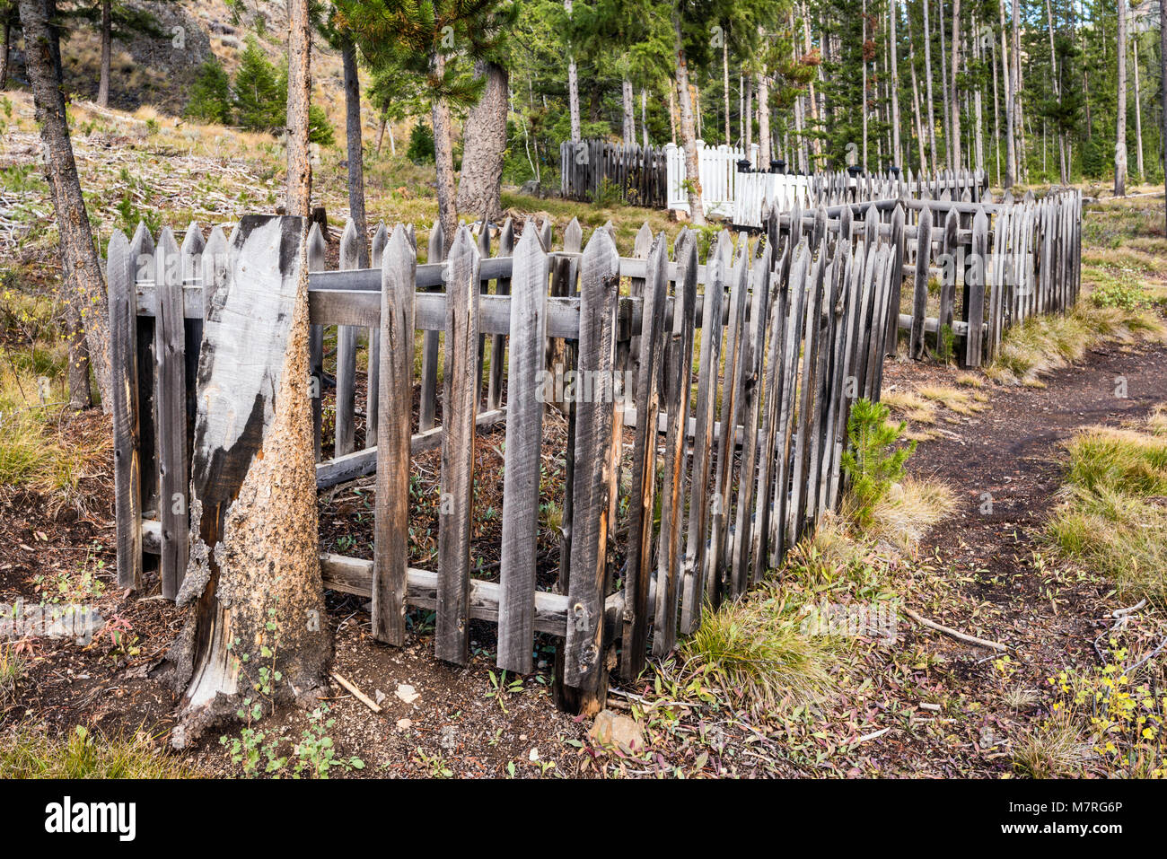 Cimetière de Custer City ville fantôme, Yankee Fork de la rivière Salmon, Custer Road, Salmon-Challis Aventure Autoroute National Forest, North Carolina, USA Banque D'Images